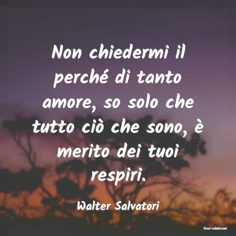 frasi di  Walter Salvatori
