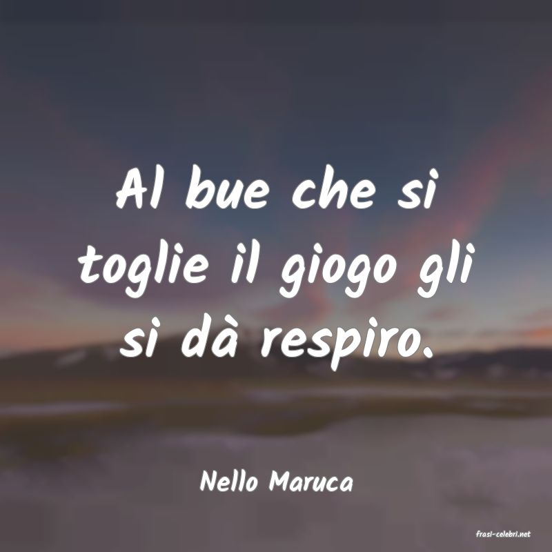 frasi di  Nello Maruca
