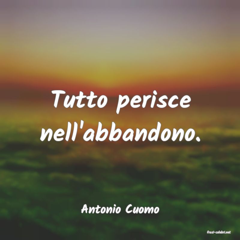 frasi di  Antonio Cuomo

