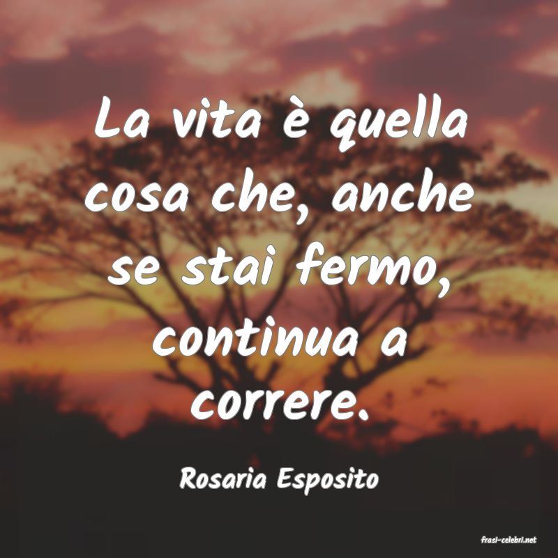 frasi di  Rosaria Esposito
