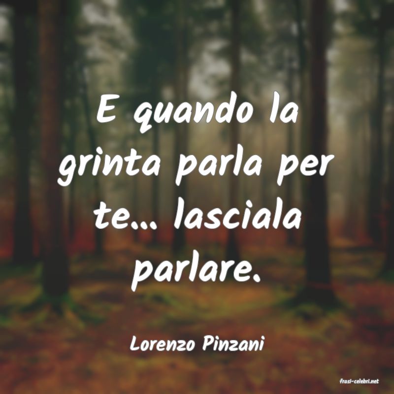 frasi di  Lorenzo Pinzani
