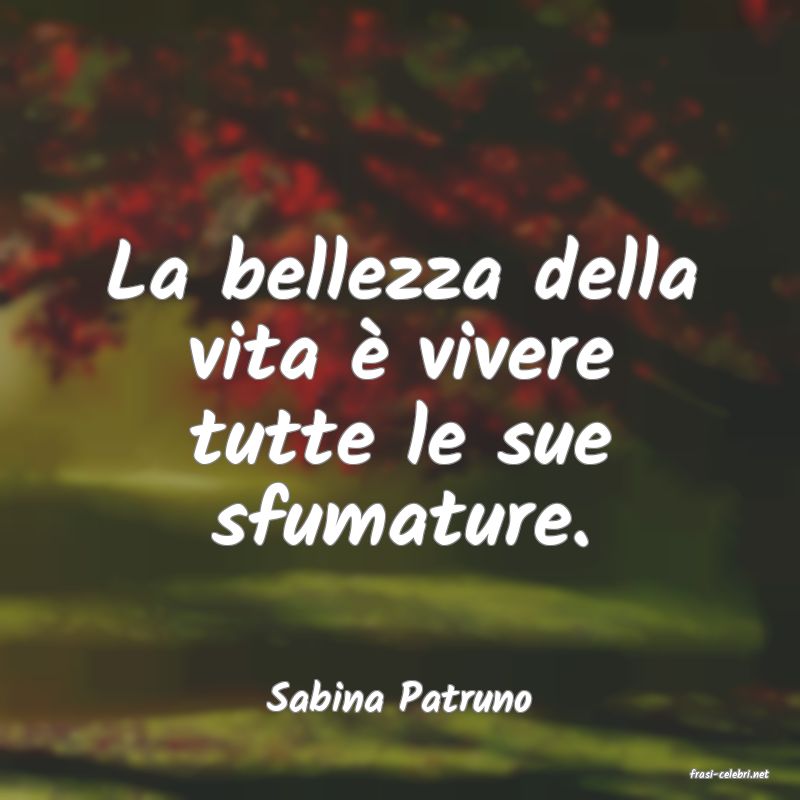 frasi di  Sabina Patruno
