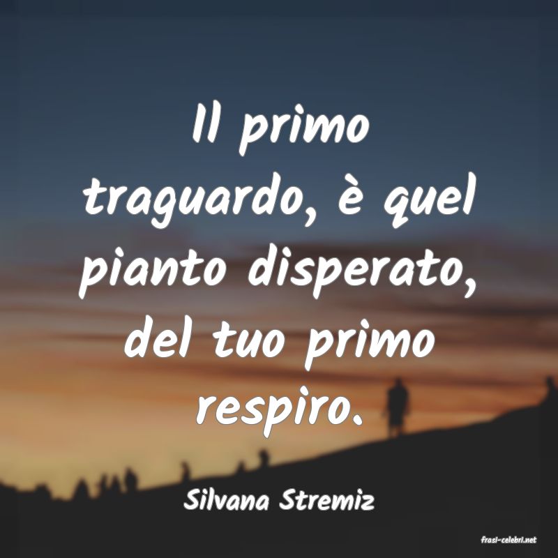 frasi di Silvana Stremiz