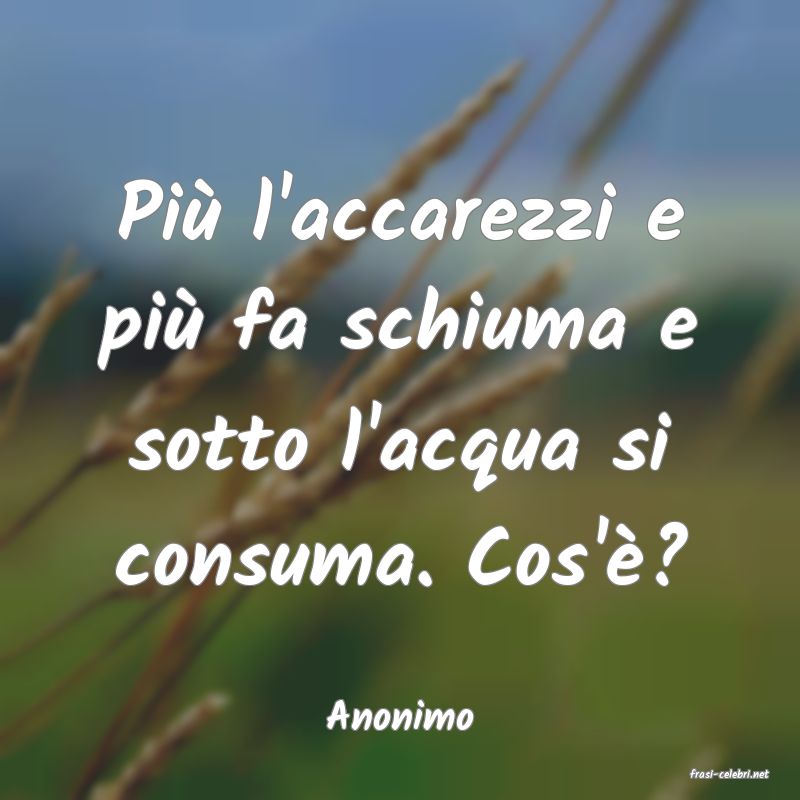 frasi di Anonimo