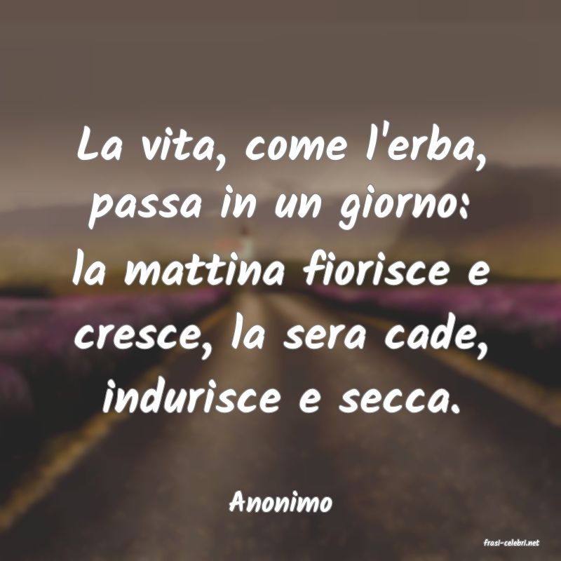 frasi di Anonimo