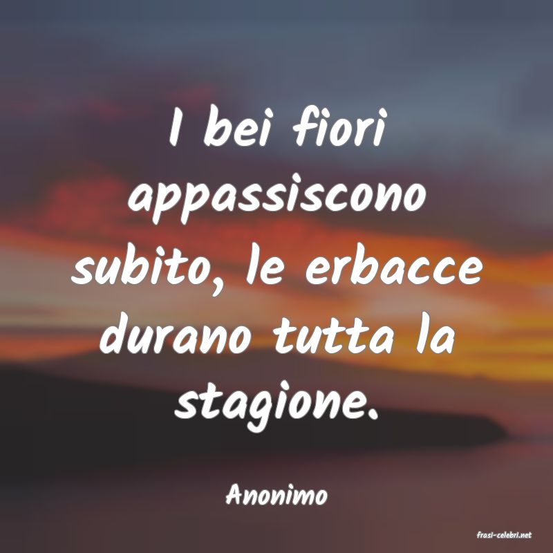 frasi di Anonimo