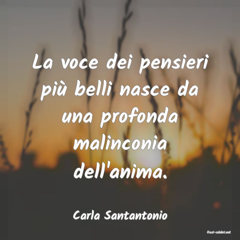 frasi di Carla Santantonio