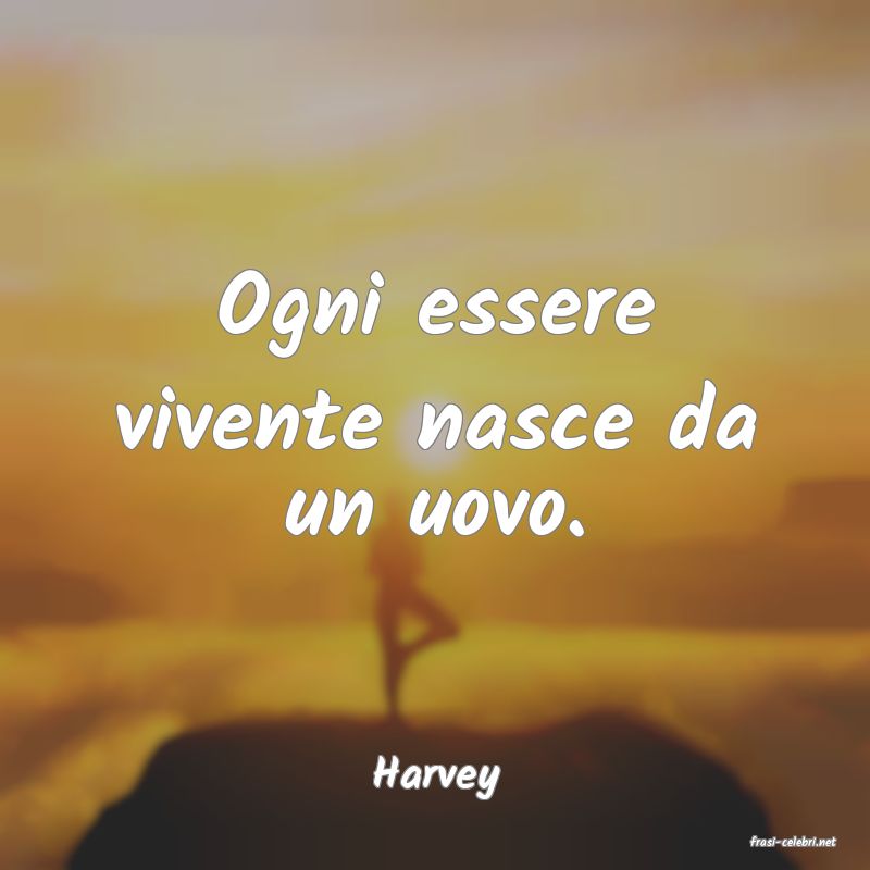 frasi di Harvey