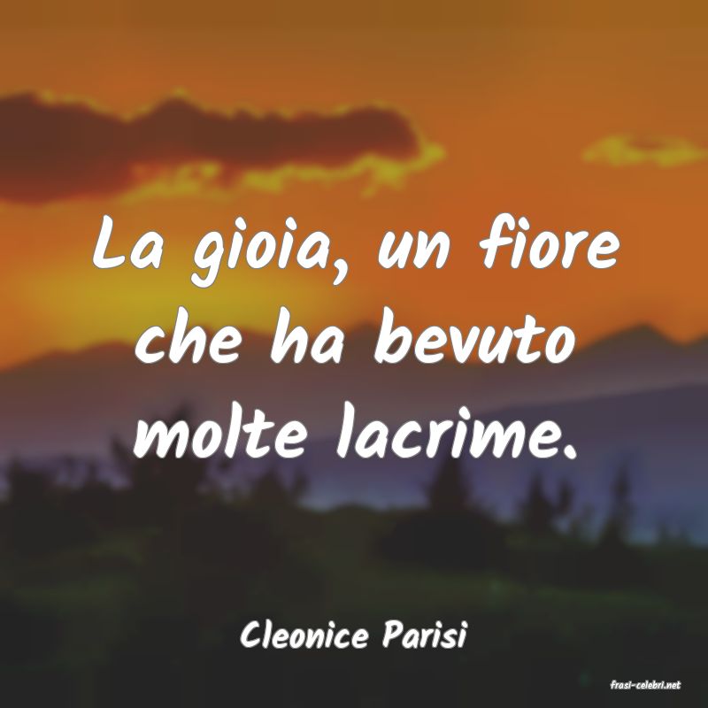 frasi di Cleonice Parisi