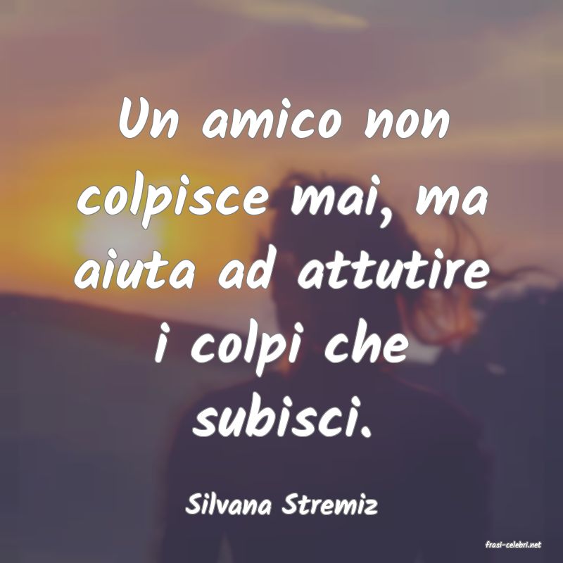 frasi di Silvana Stremiz