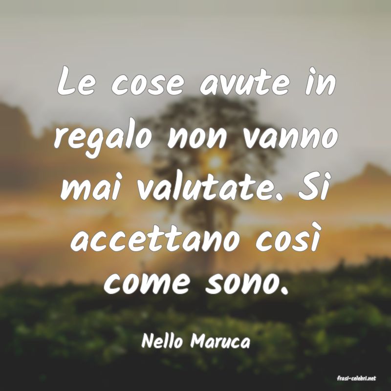 frasi di  Nello Maruca
