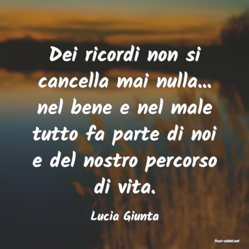frasi di  Lucia Giunta
