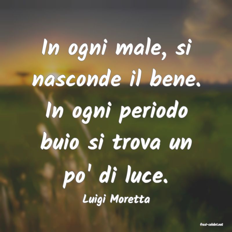 frasi di  Luigi Moretta
