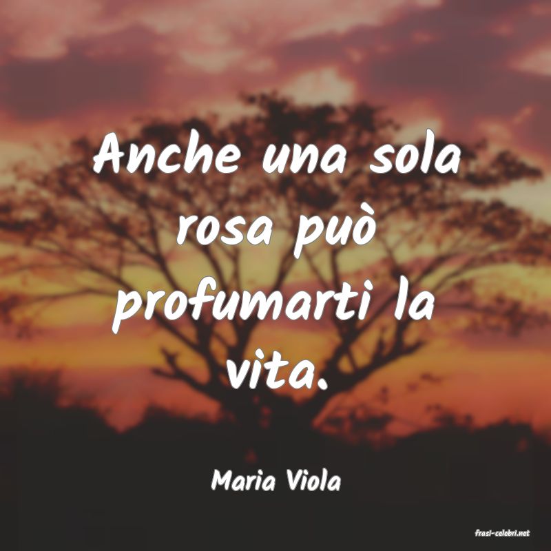 frasi di  Maria Viola

