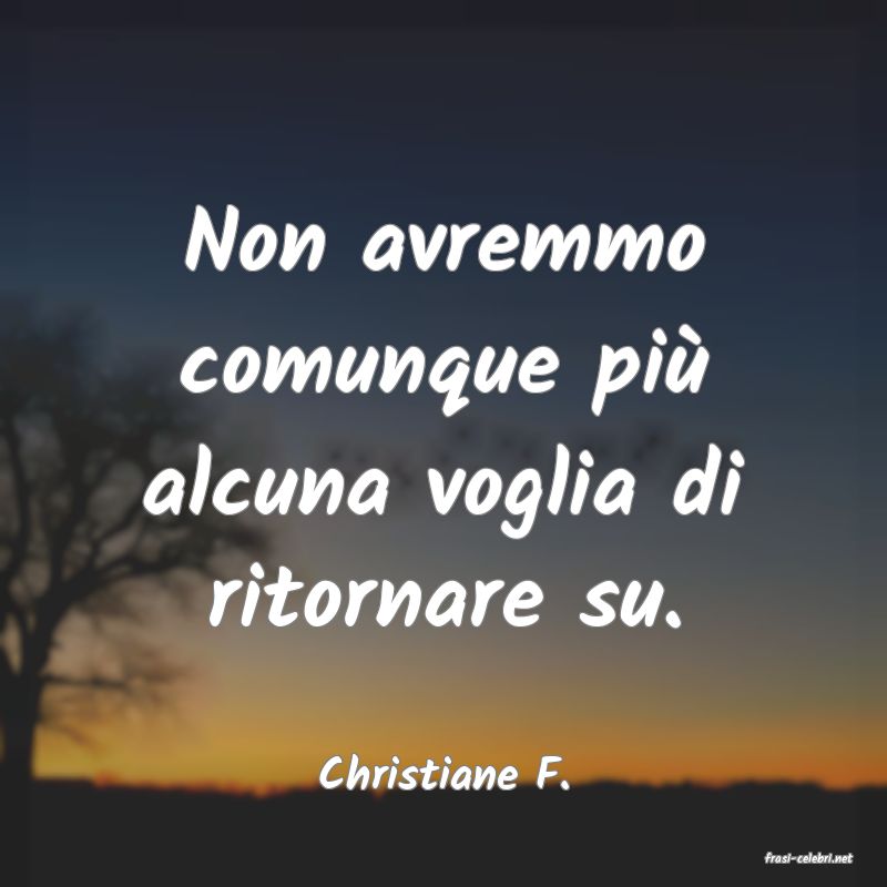 frasi di  Christiane F.
