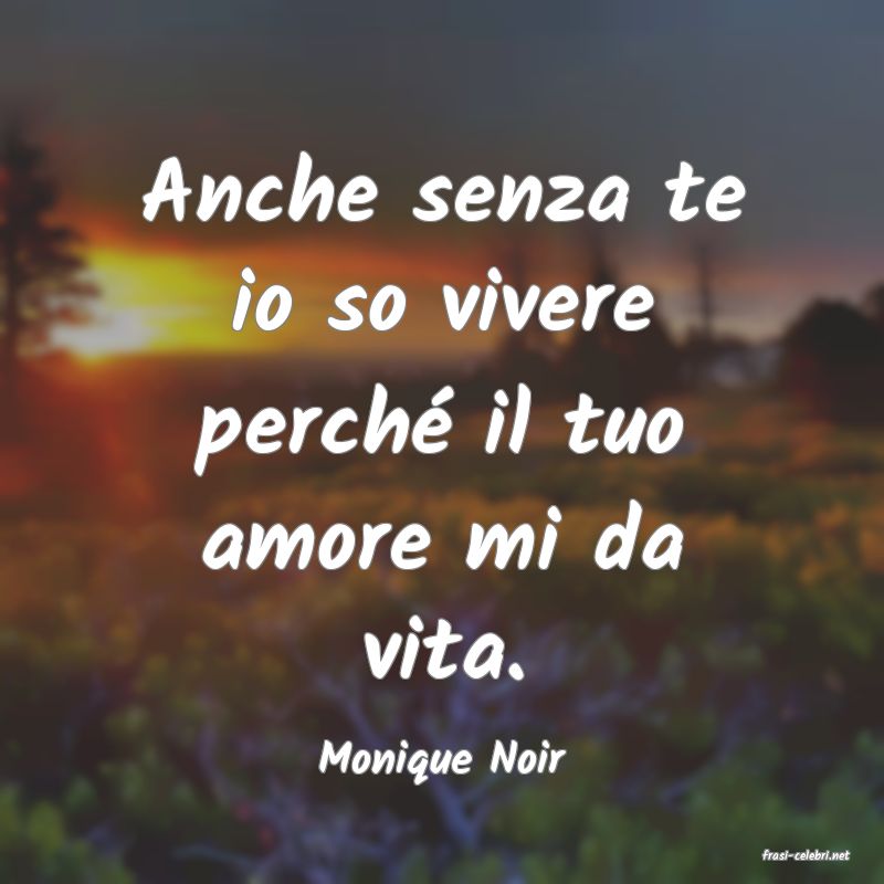 frasi di  Monique Noir
