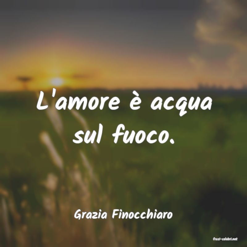 frasi di  Grazia Finocchiaro
