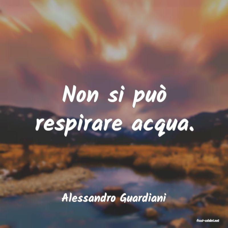frasi di  Alessandro Guardiani
