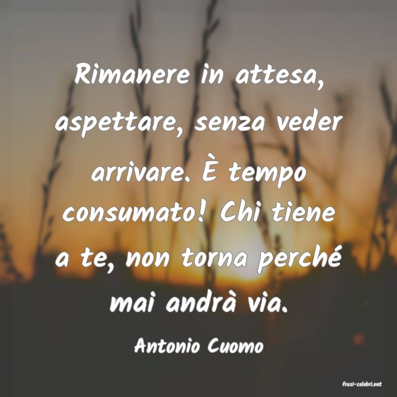 frasi di  Antonio Cuomo
