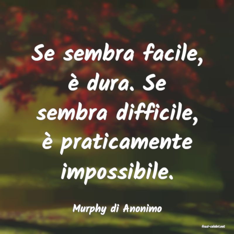 frasi di Murphy di Anonimo