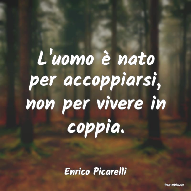 frasi di Enrico Picarelli