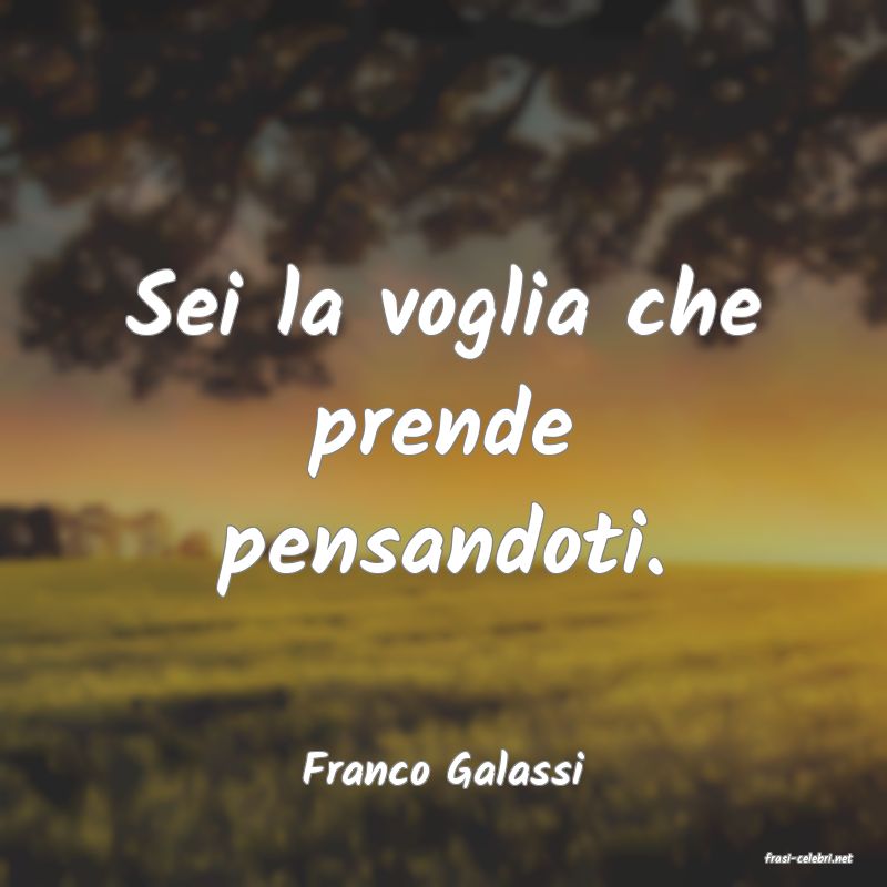 frasi di  Franco Galassi

