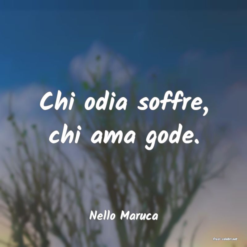 frasi di  Nello Maruca
