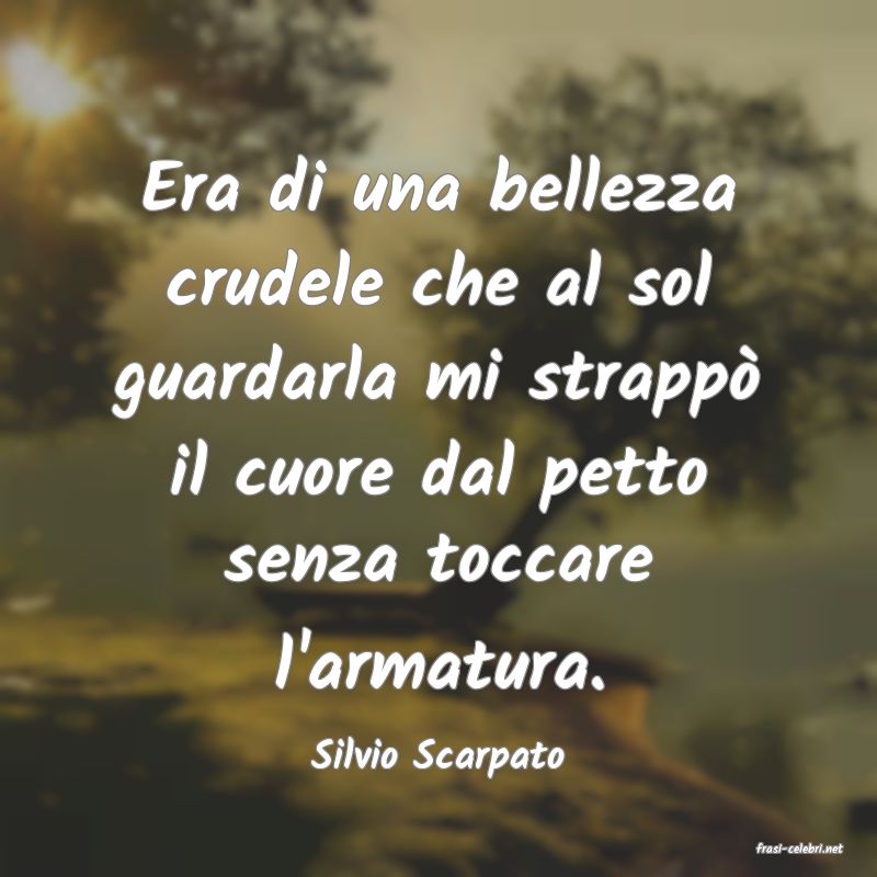frasi di  Silvio Scarpato
