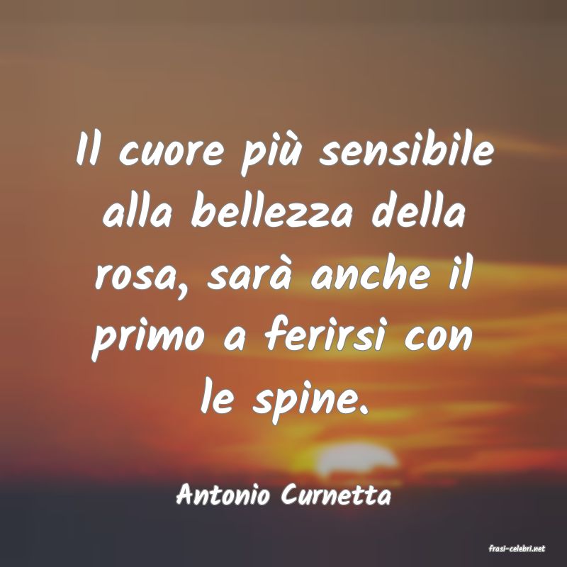 frasi di  Antonio Curnetta
