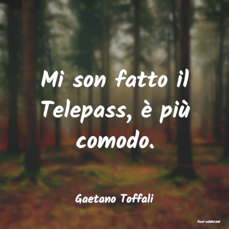 frasi di  Gaetano Toffali
