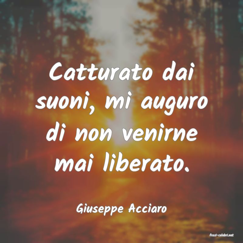 frasi di  Giuseppe Acciaro
