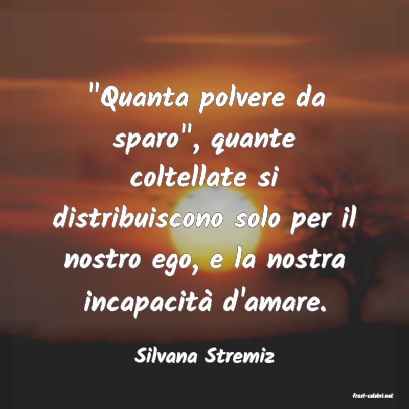 frasi di  Silvana Stremiz
