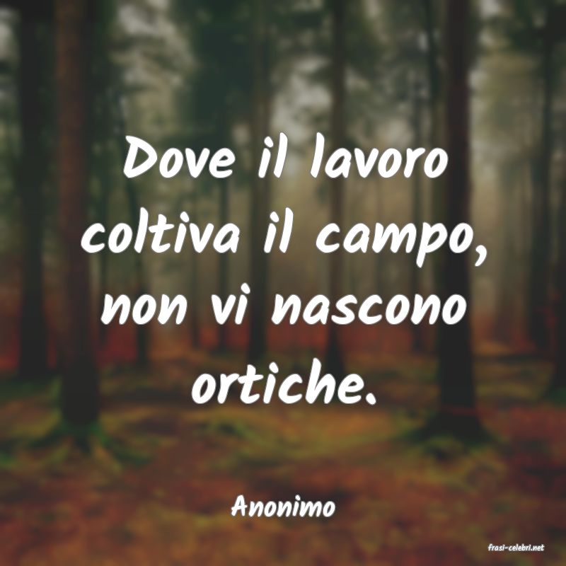 frasi di Anonimo