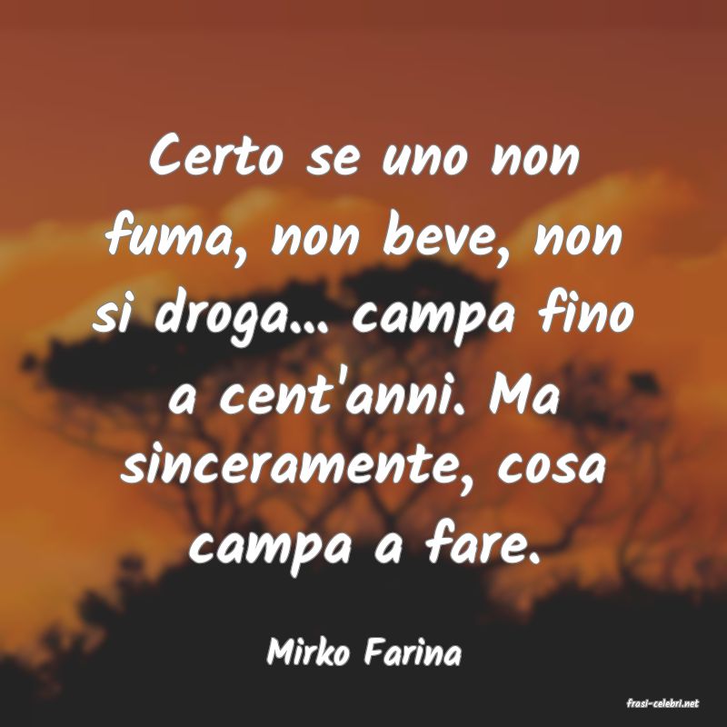 frasi di Mirko Farina