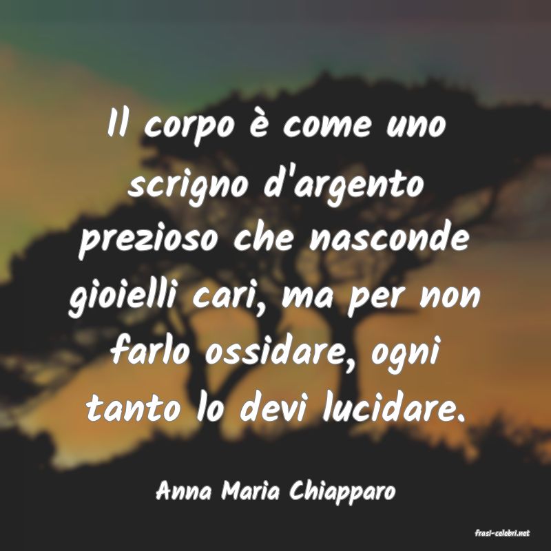 frasi di Anna Maria Chiapparo