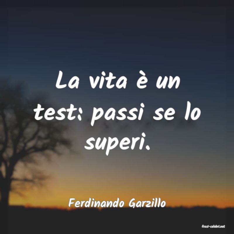 frasi di  Ferdinando Garzillo
