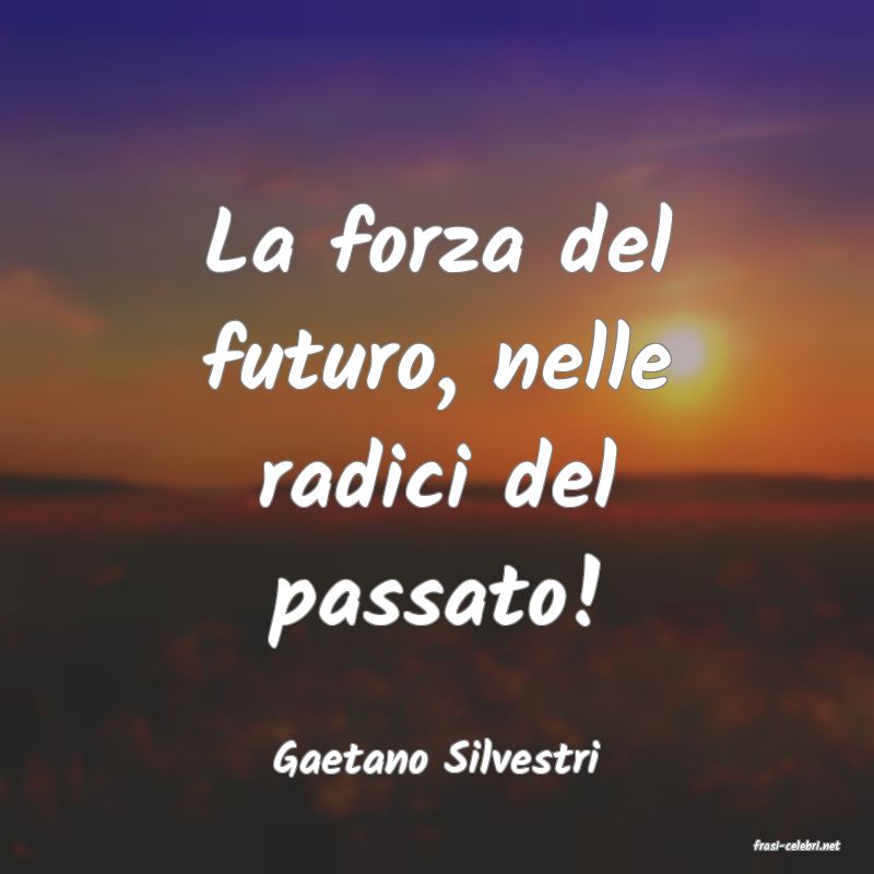 frasi di  Gaetano Silvestri
