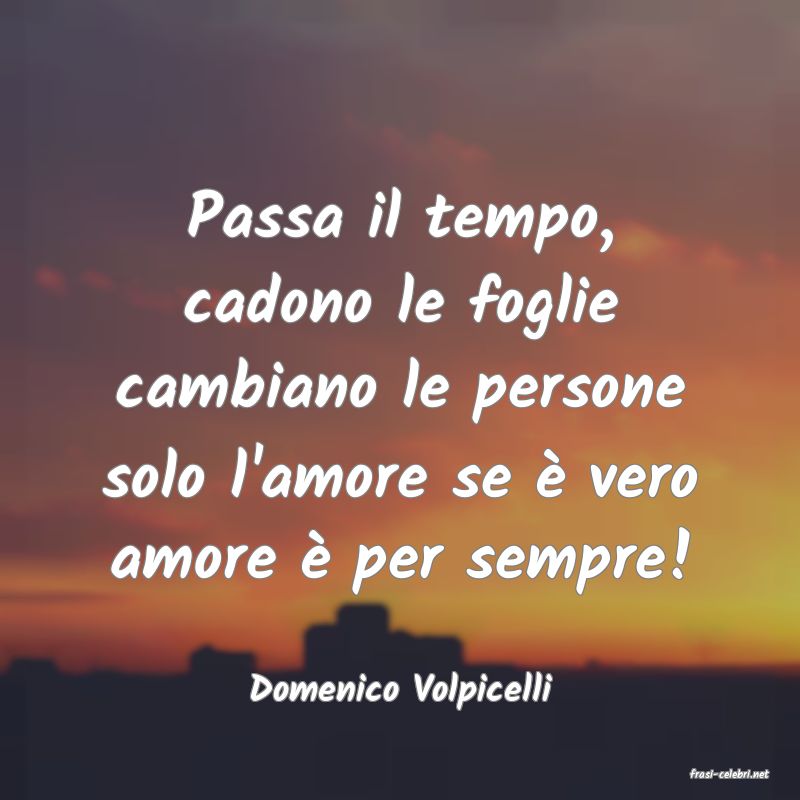frasi di  Domenico Volpicelli
