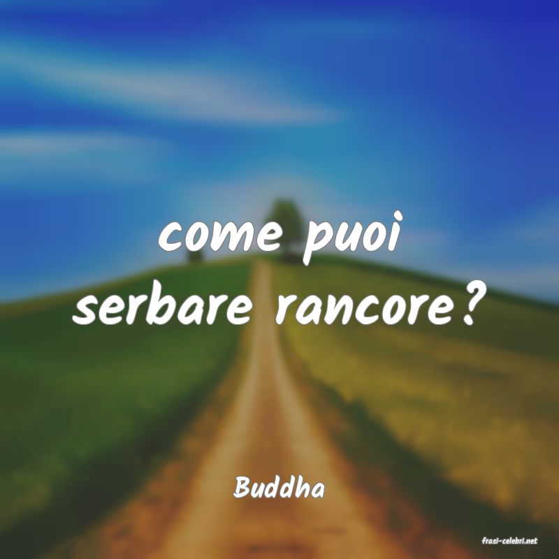 frasi di  Buddha
