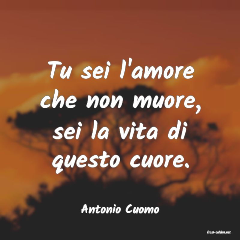 frasi di  Antonio Cuomo
