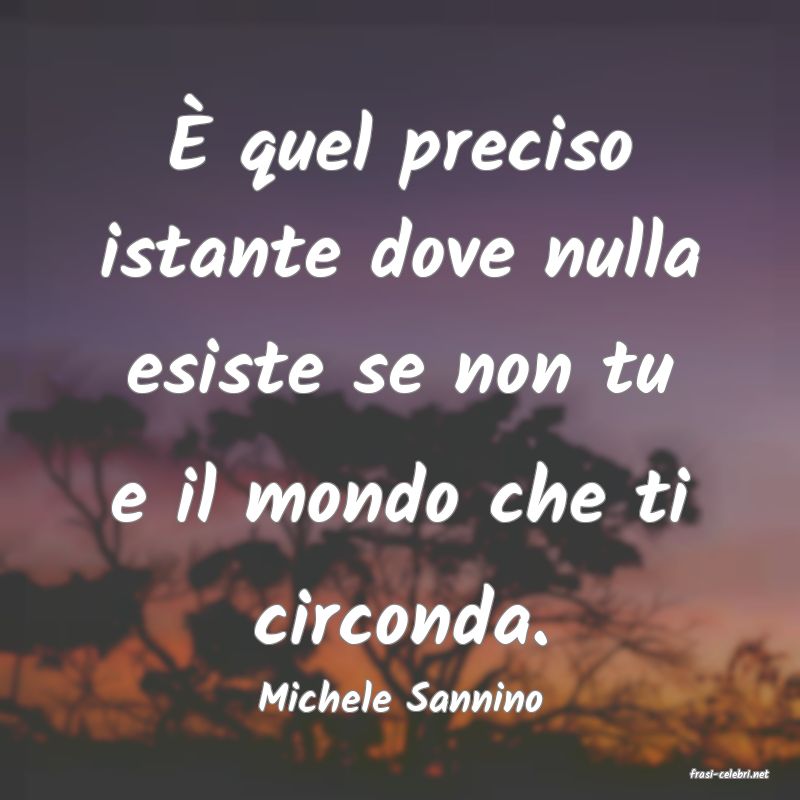 frasi di  Michele Sannino
