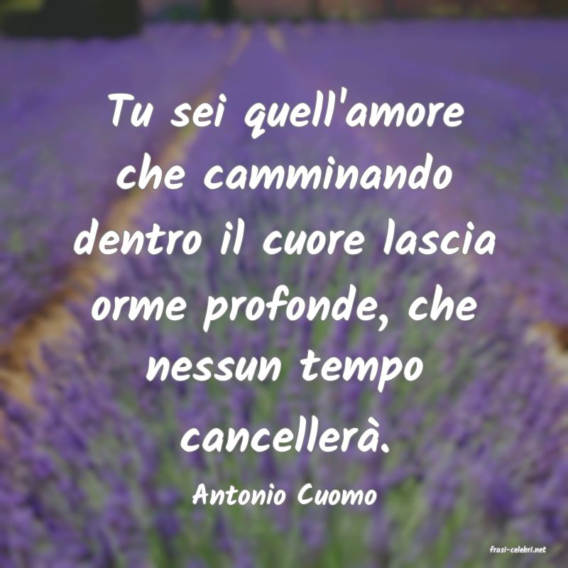 frasi di  Antonio Cuomo
