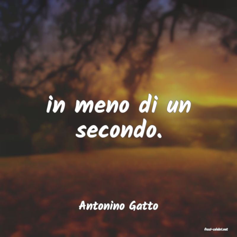 frasi di  Antonino Gatto

