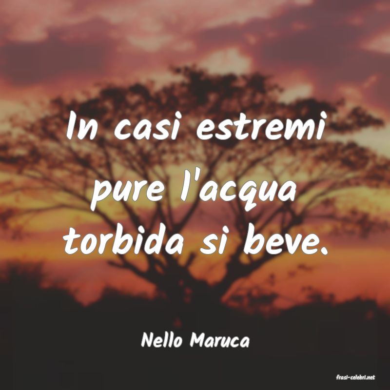 frasi di  Nello Maruca
