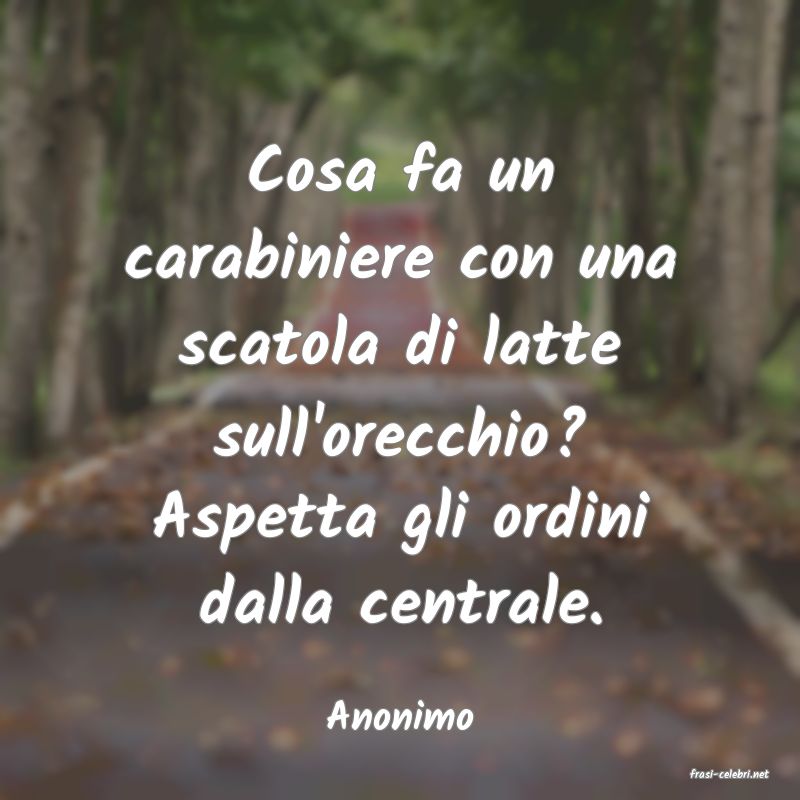 frasi di Anonimo