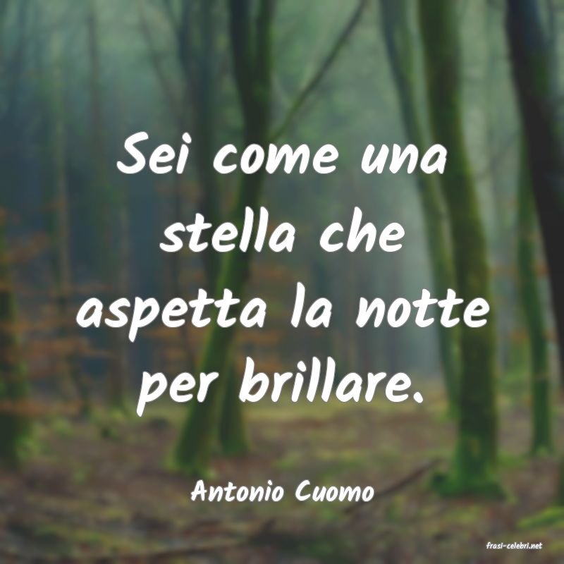 frasi di  Antonio Cuomo
