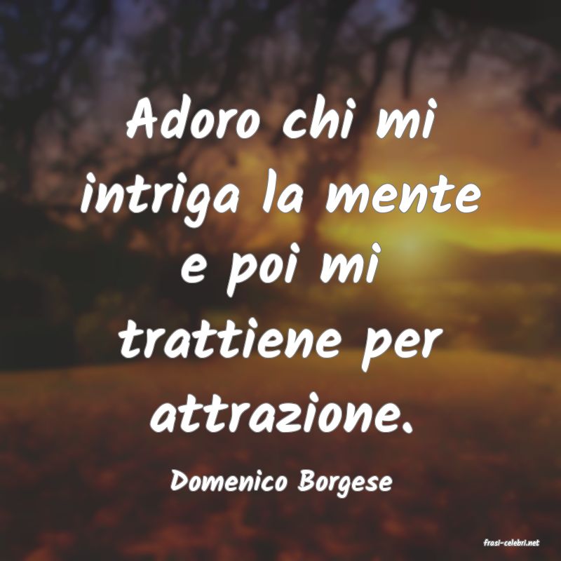frasi di  Domenico Borgese
