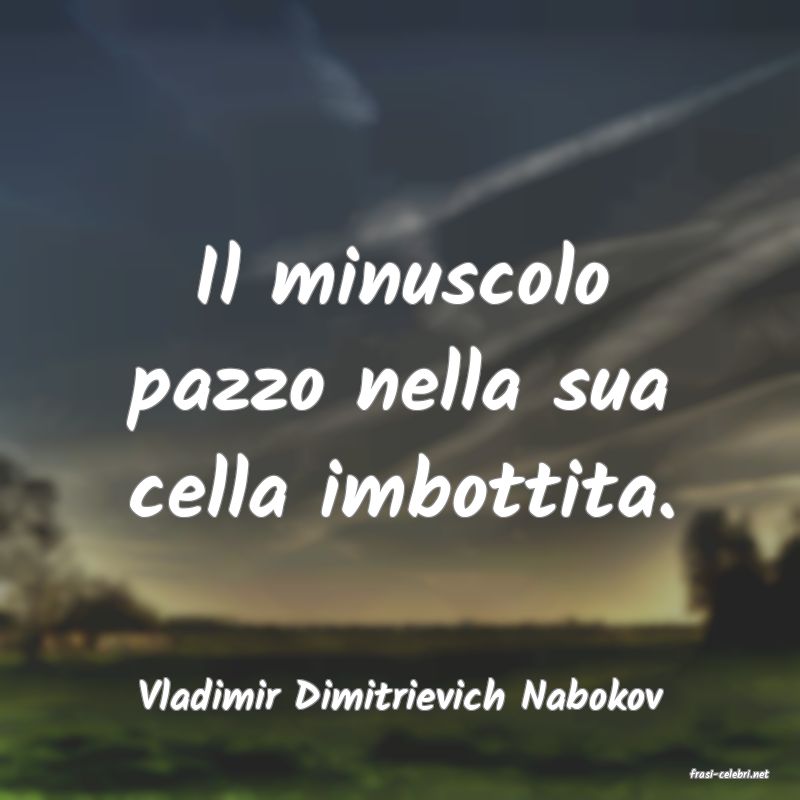 frasi di  Vladimir Dimitrievich Nabokov
