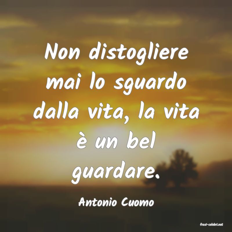 frasi di  Antonio Cuomo
