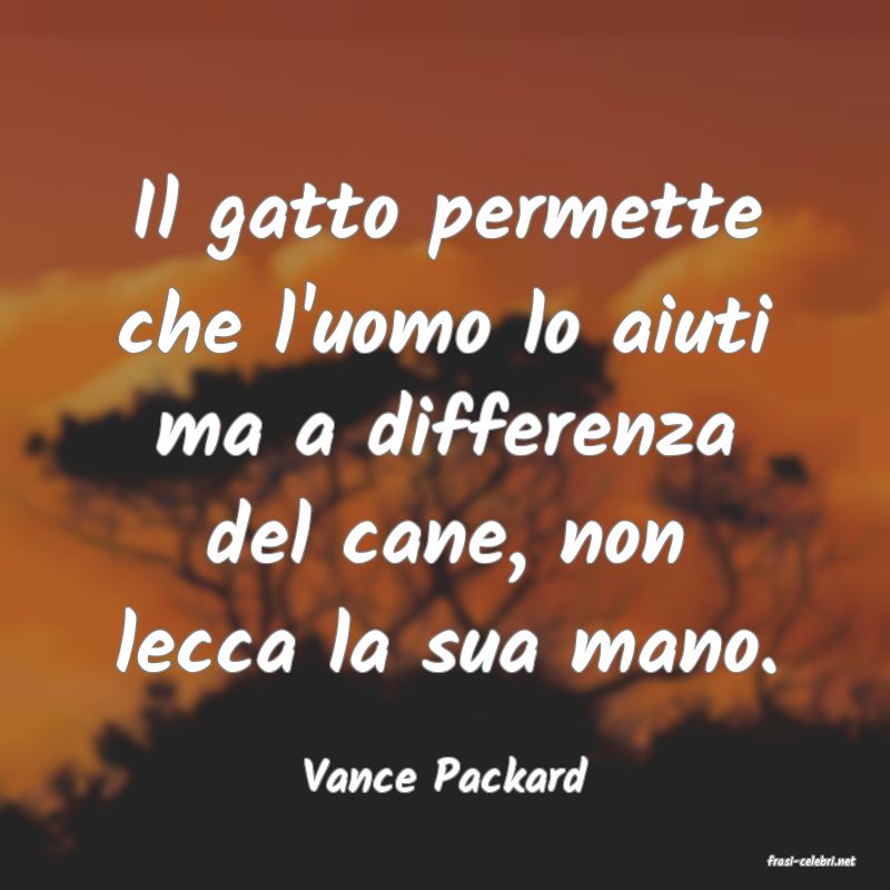 frasi di  Vance Packard

